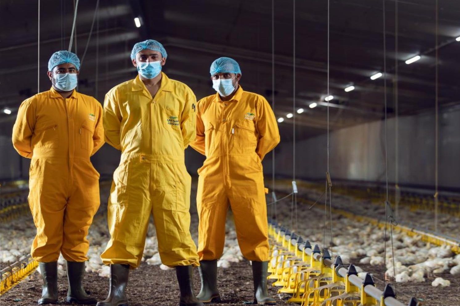 Almarai poultry operation
